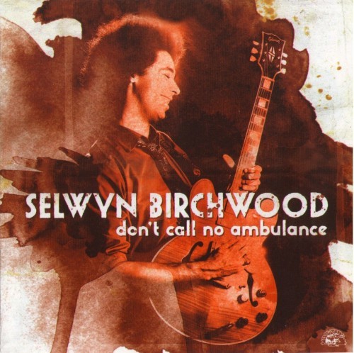 Selwyn Birchwood - Dont Call No Ambulance (2014)